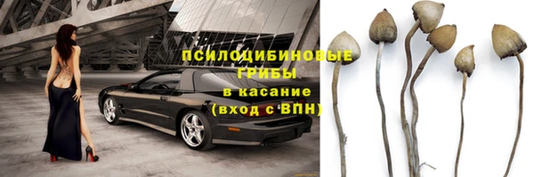 2c-b Гусь-Хрустальный