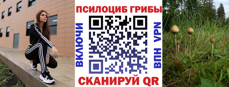 Псилоцибиновые грибы Magic Shrooms Добрянка